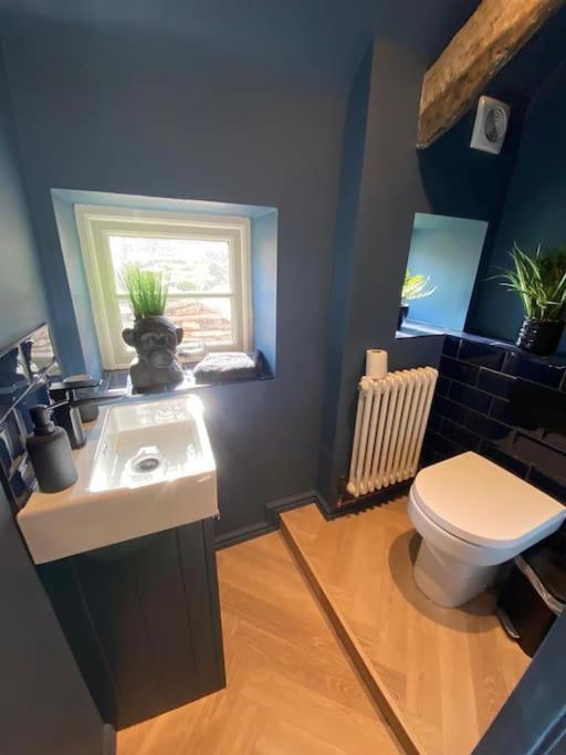 Rosedale A Charming Detached 4 Bedroom Cottage. Brixham Exteriér fotografie