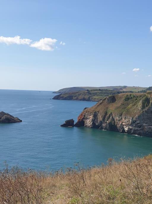 Rosedale A Charming Detached 4 Bedroom Cottage. Brixham Exteriér fotografie