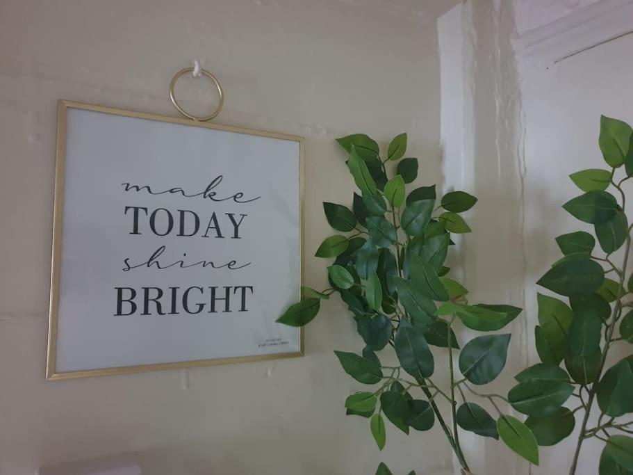 Rosedale A Charming Detached 4 Bedroom Cottage. Brixham Exteriér fotografie